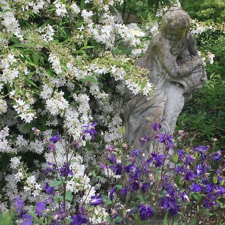 Seymours Court Bed & Breakfast Beckington Bagian luar foto