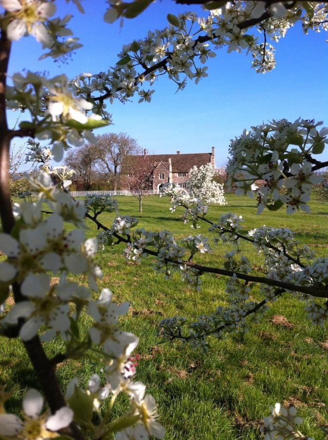 Seymours Court Bed & Breakfast Beckington Bagian luar foto