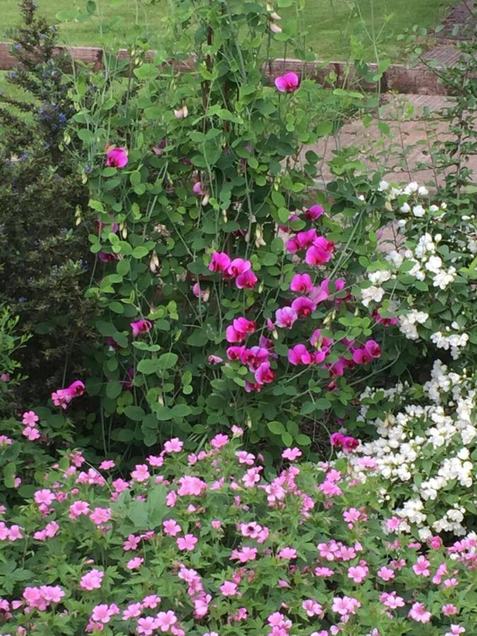 Seymours Court Bed & Breakfast Beckington Bagian luar foto